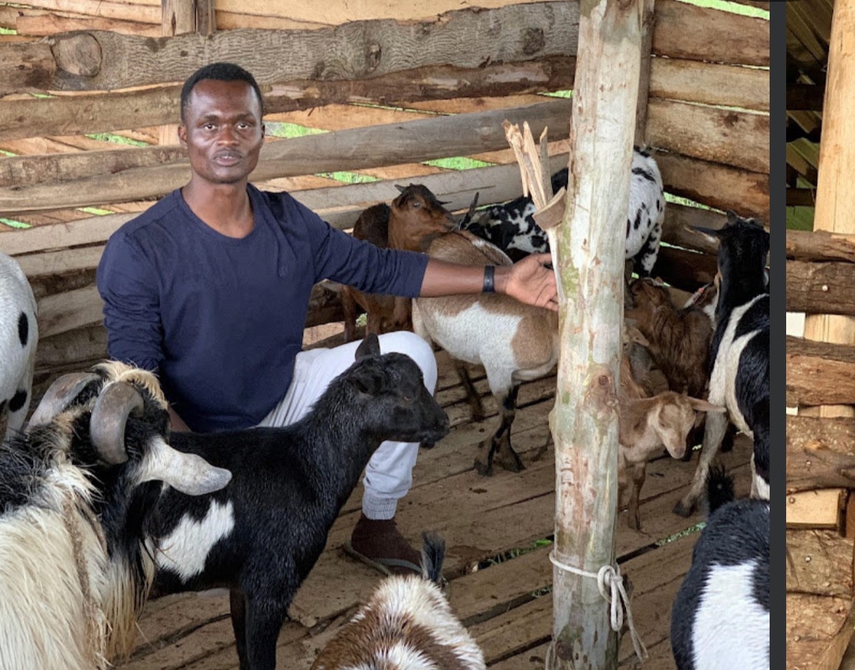 Goat products