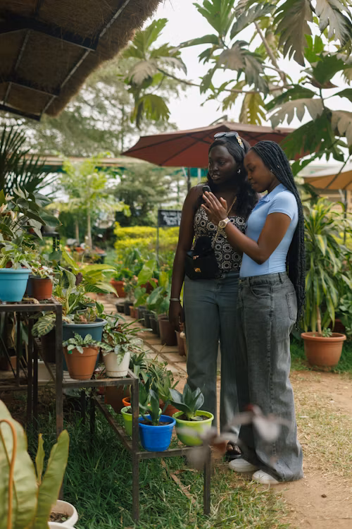 Youth Agripreneurship